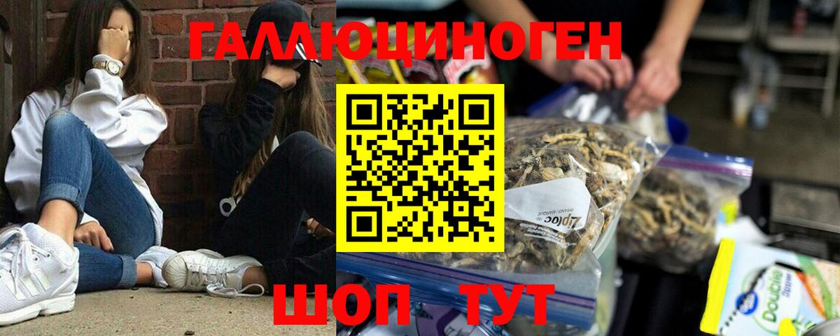 Горно-Алтайск  Галлюциногенные грибы прущие грибы  Псилоцибиновые грибы Psilocybine cubensis  Вход с VPN 